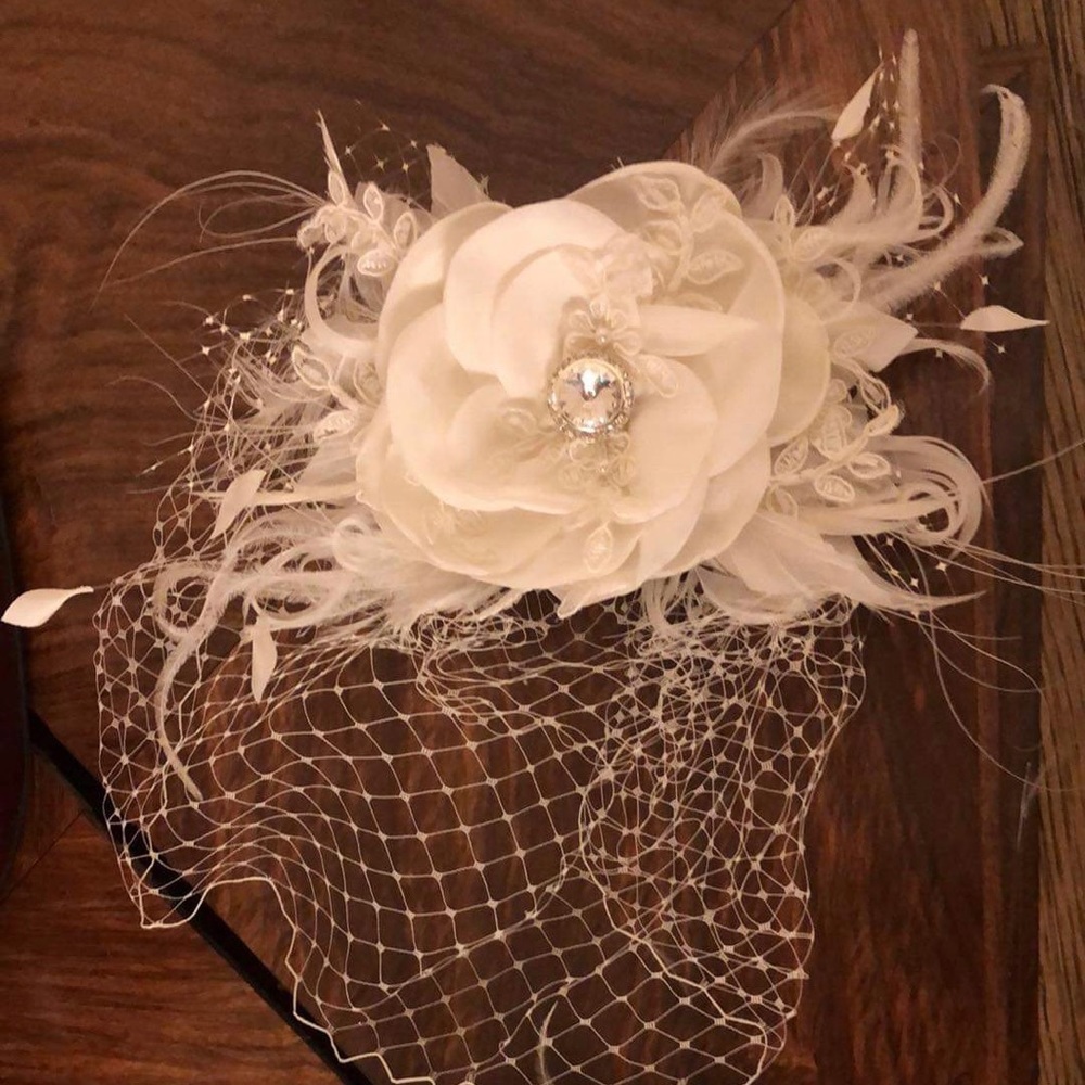 Wedding Bird Cage Veil